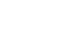 Servicio Profesional